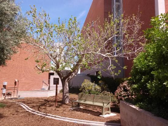 Flandrau Science Center and Planetarium